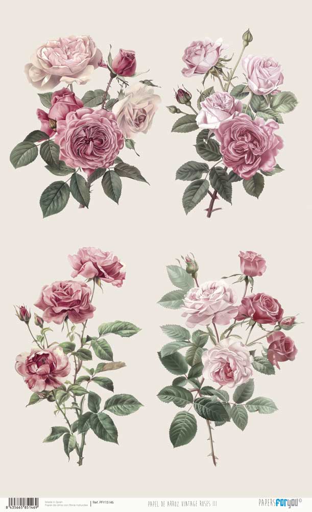 Papel arroz Papers for you 54x33cm Vintage Roses - PFY15146