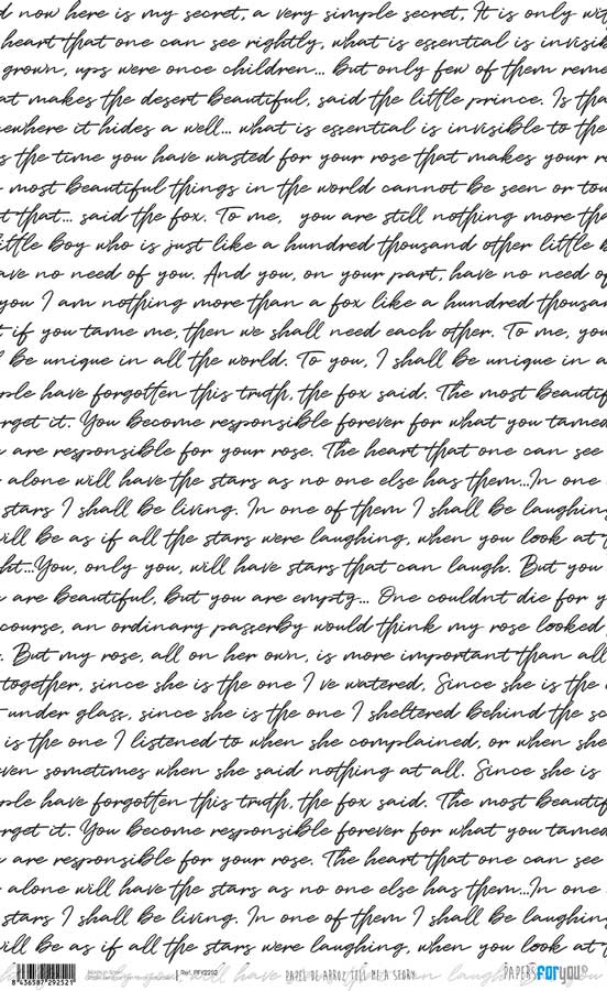 Papier de riz Des papiers pour vous 54x33cm PFY12728