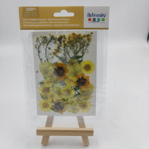 Flores secas prensadas amarillas y naranjas 25000027 ARTEMIO CENTROARTESANO