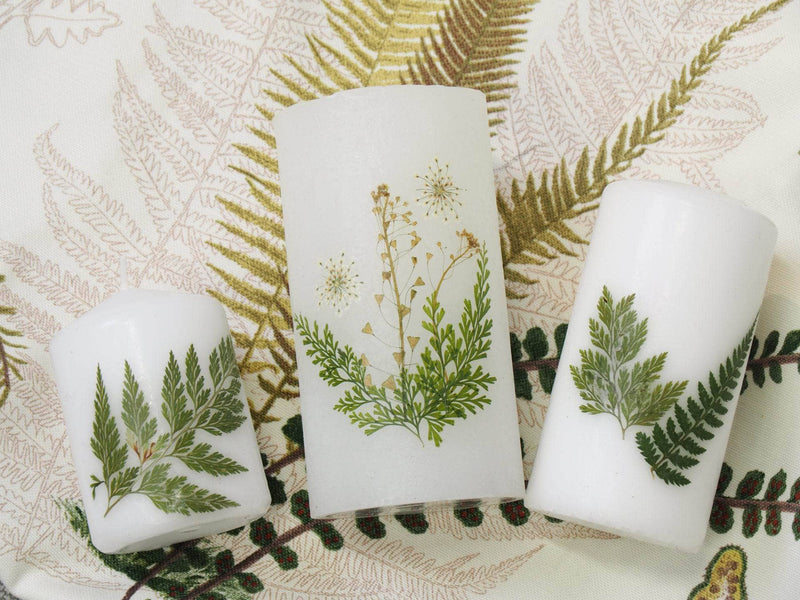 Flores secas prensadas amarillas y naranjas 25000027 ARTEMIO CENTROARTESANO