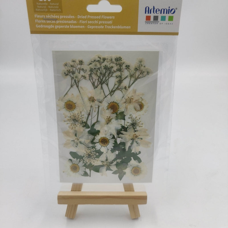 Flores secas prensadas blancas 25000026 ARTEMIO CENTROARTESANO