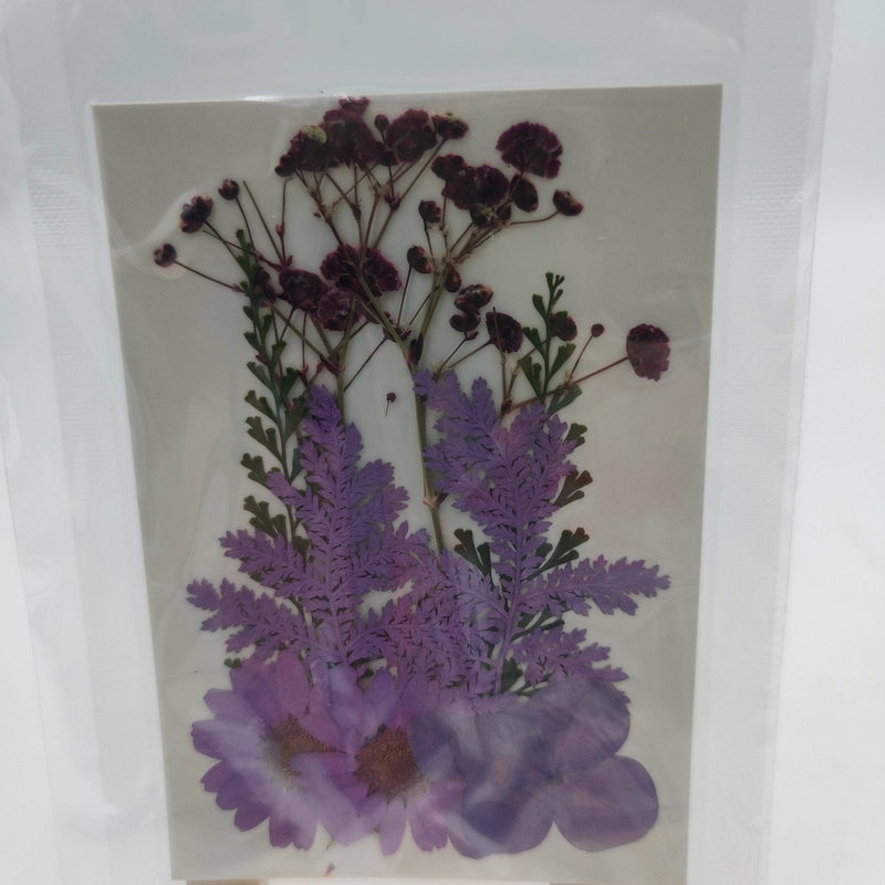 Flores secas prensadas lila 25000017 ARTEMIO CENTROARTESANO