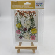 Flores secas prensadas multicolor  25000020 ARTEMIO CENTROARTESANO