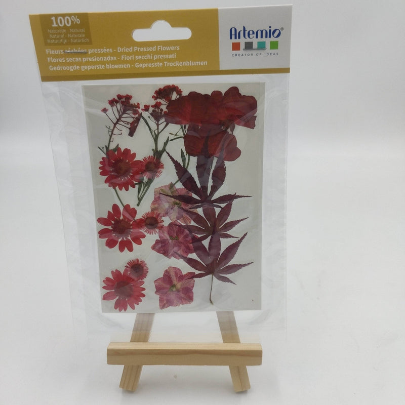 Flores secas prensadas Rojas y rosas 25000022 ARTEMIO CENTROARTESANO