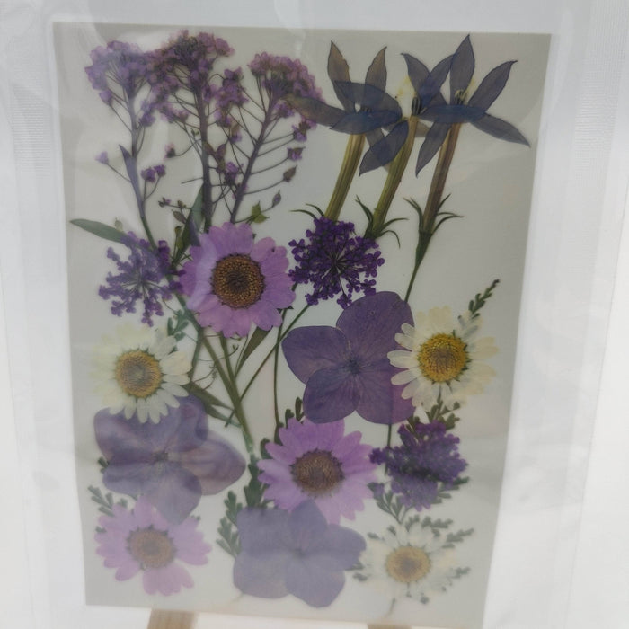 Flores secas prensadas violetas y lilas 25000023 ARTEMIO CENTROARTESANO