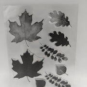 Artemio  set de tampones transparentes Flores de acuarela 10001403 ARTEMIO Oferta CENTROARTESANO