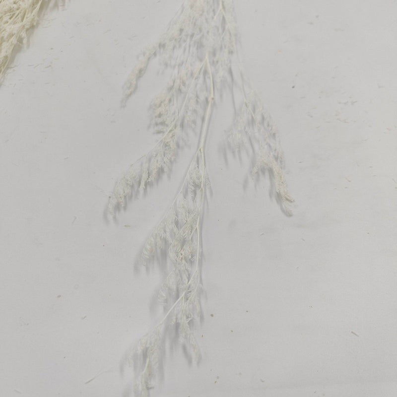 Ramos de Flores secas limonium 120g  25000012 ARTEMIO CENTROARTESANO