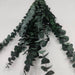 Ramos de hojas secas grandes de Eucaliptus hojas 70cm ARTEMIO CENTROARTESANO