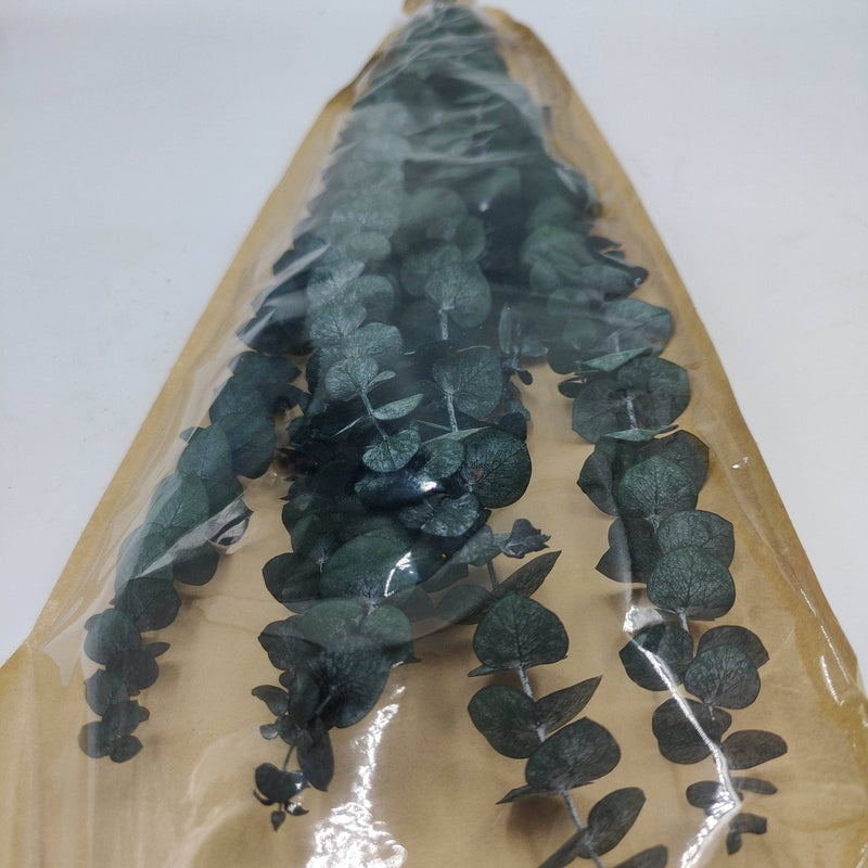 Ramos de hojas secas grandes de Eucaliptus hojas 70cm ARTEMIO CENTROARTESANO