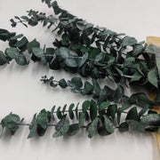 Ramos de hojas secas grandes de Eucaliptus hojas 70cm ARTEMIO CENTROARTESANO