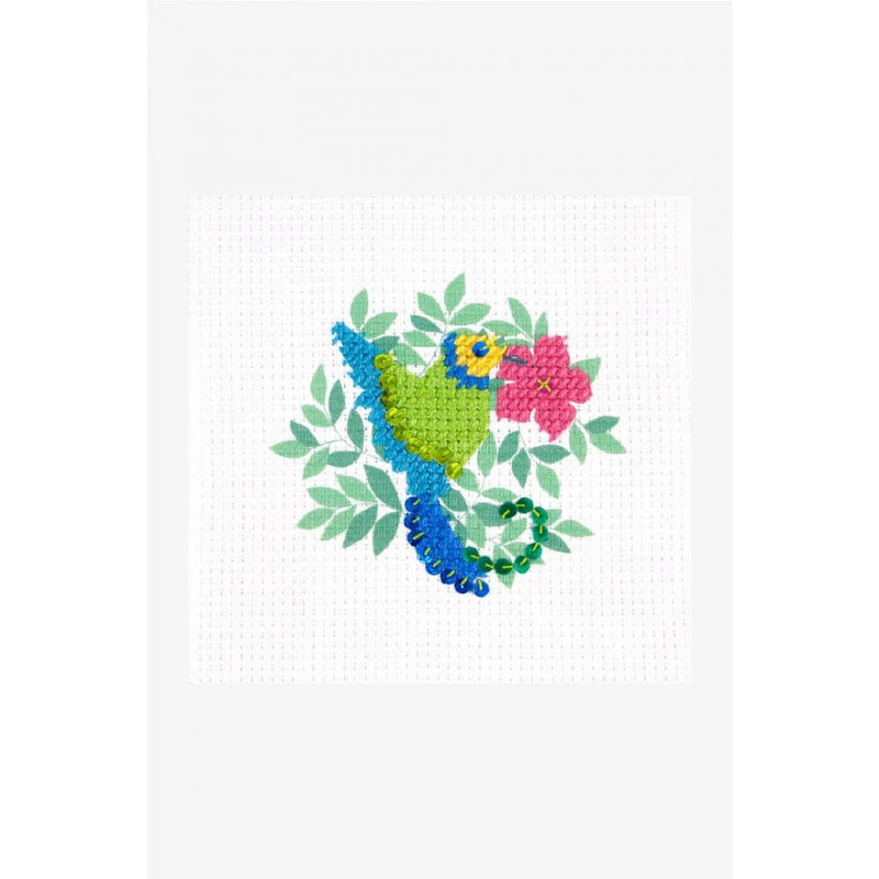 DMC Kit medio punto I can Stitch BK1897 Colibri DMC CENTROARTESANO