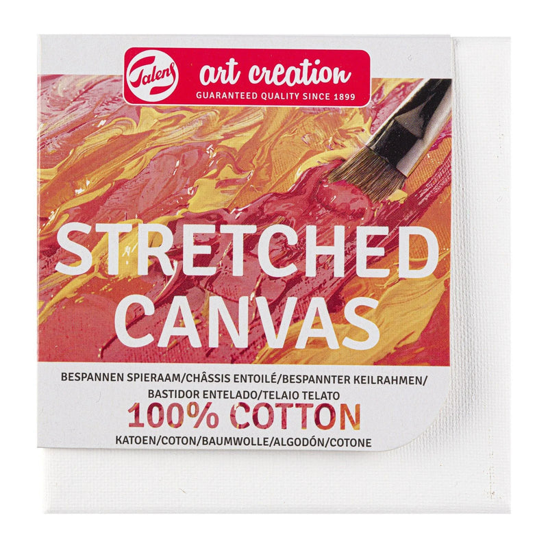 Standard painter canvas 120x60