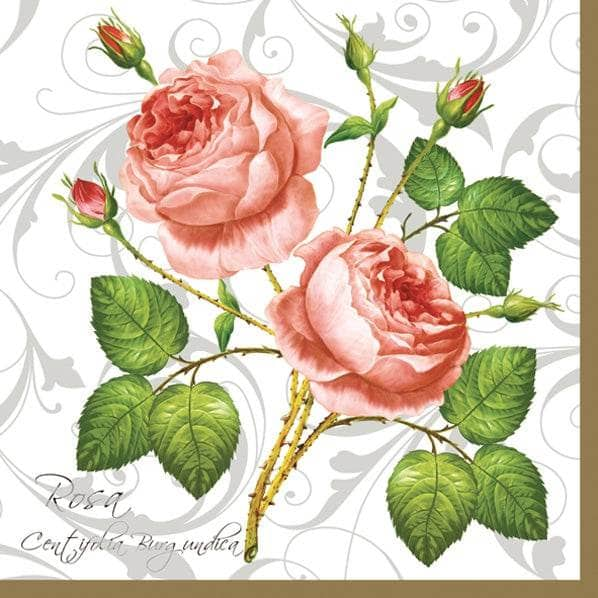 Servilleta decoupage Rosa Centifolia white PAP STAR CENTROARTESANO