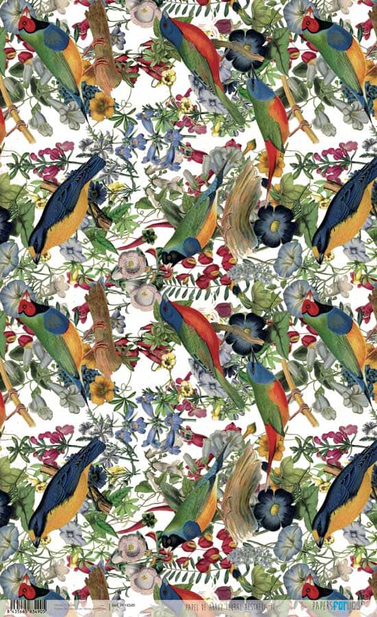 Papel arroz Papers for you 54x33cm PFY4327 Colors of the nature PAPERS FOR YOU CENTROARTESANO