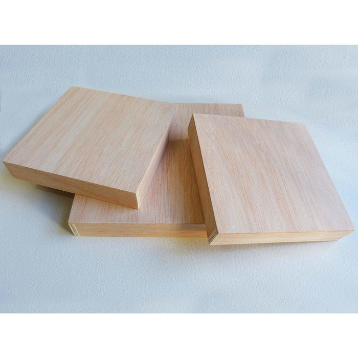 Lienzo 3D madera Okume 100X100 ALLA PRIMA CENTROARTESANO