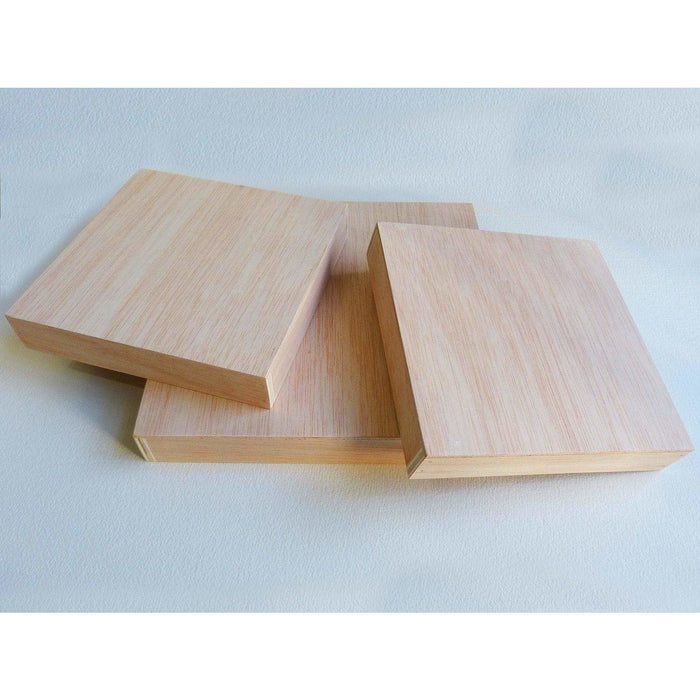 Lienzo 3D madera Okume 20X20 ALLA PRIMA CENTROARTESANO