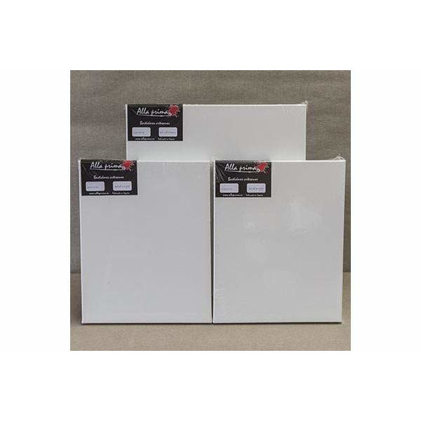 Lienzo 3D Pintor 100x73 40P ALLA PRIMA CENTROARTESANO