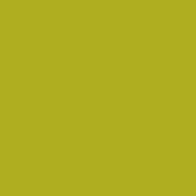 Standard Series Colores Acrílicos Tubo 250ml 621 Verde Oliva claro AMSTERDAM CENTROARTESANO