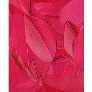 Artemio plumas 3g fucsia 13030029 ARTEMIO Oferta CENTROARTESANO