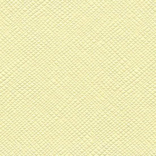 Bazzil paper sugar cookie ARTEMIO Oferta CENTROARTESANO