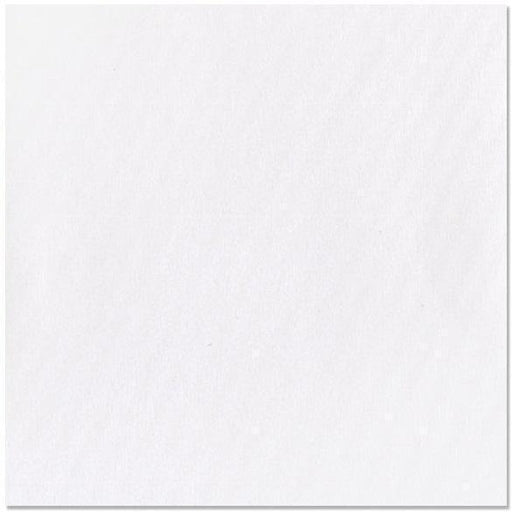 Cartulina Lisa Bazzill white T10-1005 ARTEMIO Oferta CENTROARTESANO