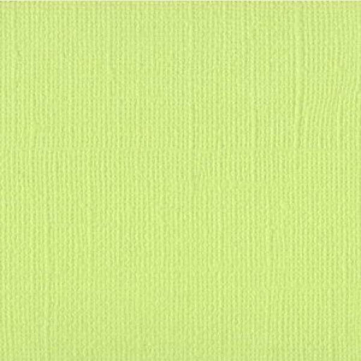 Cartulina texturizada Bazzill limeade T5-509 ARTEMIO Oferta CENTROARTESANO