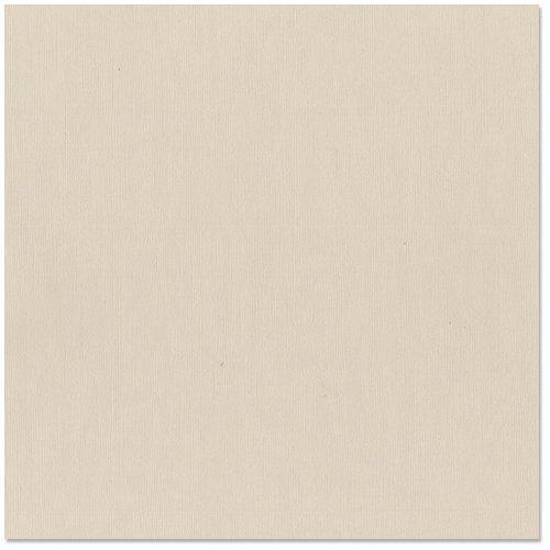 Cartulina Texturizada Bazzillt9-942 twig ARTEMIO Oferta CENTROARTESANO