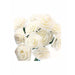 Flores; buquet de rosas Rayher ARTEMIO Oferta crema CENTROARTESANO