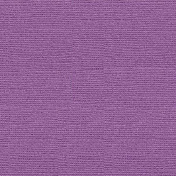 Cartulina Bazzill Texturizada T6-642 Heidi BAZZILL Oferta CENTROARTESANO