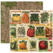 Papel Bobunny 18801051 Enchanted 30x30cm harvest seed packets BOBUNNY CENTROARTESANO