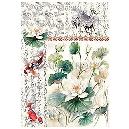 Calambour papel arroz TCR21 japones nenufares carpas CALAMBOUR CENTROARTESANO