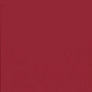 Cartulina Canson A2 185gr 50x65 granate CANSON CENTROARTESANO