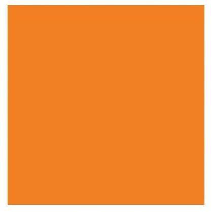 Cartulina Canson A2 185gr 50x65 naranja CANSON CENTROARTESANO