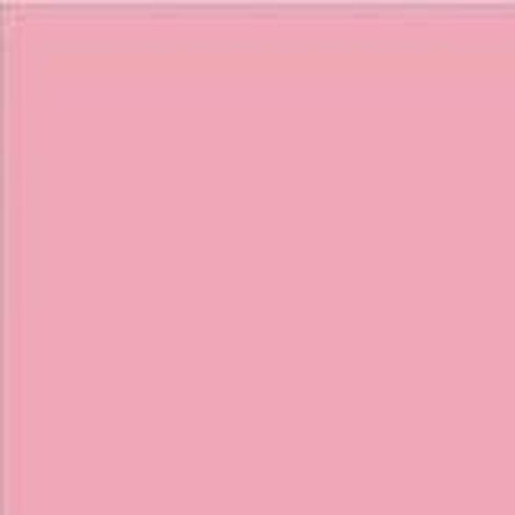 Cartulina Canson A2 185gr 50x65 rosa CANSON CENTROARTESANO