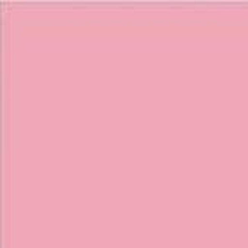 Cartulina Canson A2 185gr 50x65 rosa CANSON CENTROARTESANO