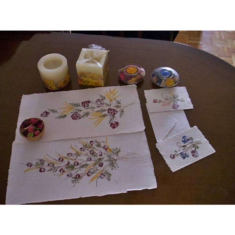 Flores secas prensadas 112 crisantemo naranja CHOPO CENTROARTESANO