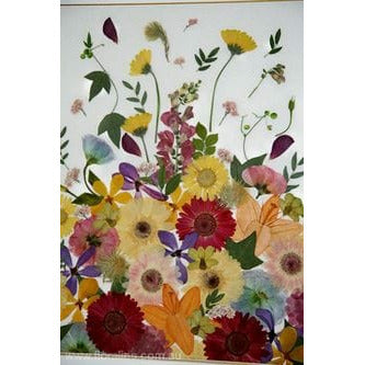 Flores secas prensadas 112 crisantemo naranja CHOPO CENTROARTESANO