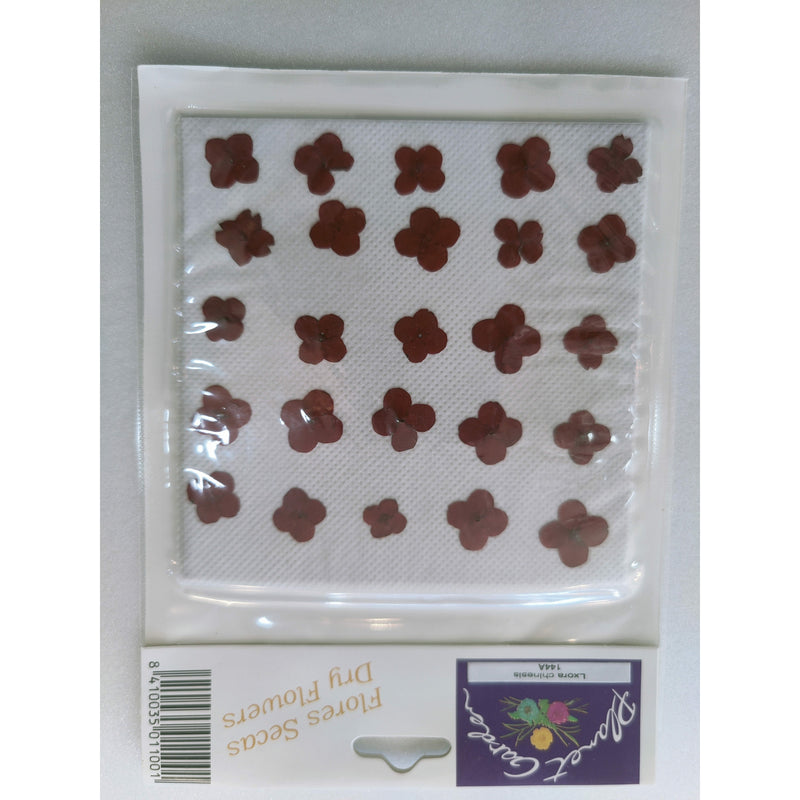 Flores secas prensadas 144A lxora chinesis (jazmin de indias) CHOPO CENTROARTESANO