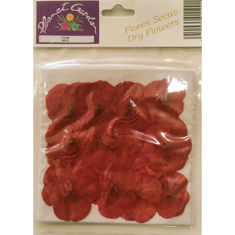 Flores secas prensadas 167C Viola (pensamientos fucsia) CHOPO CENTROARTESANO
