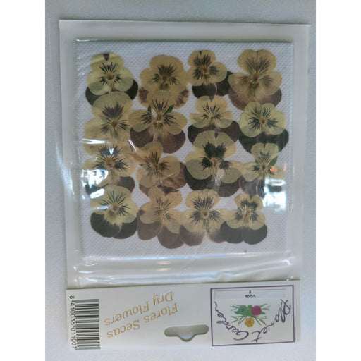 Flores secas prensadas 2 Viola (pensamientos amarillos y morados) CHOPO CENTROARTESANO