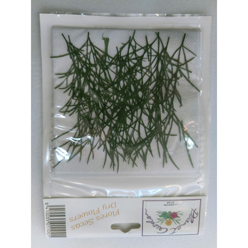 Hojas secas prensadas 213A Cosmos CHOPO CENTROARTESANO