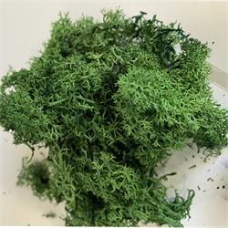 Musgo polar bolsa 60gr verde oscuro CHOPO CENTROARTESANO