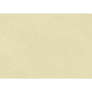 Rollo papel kraft 0,70x3m 65gr/m2 CLAIRE FONTAINE 95702C crema CENTROARTESANO