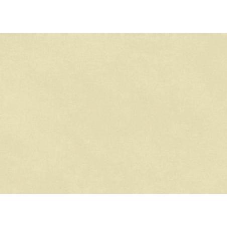 Rollo papel kraft 0,70x3m 65gr/m2 CLAIRE FONTAINE 95702C crema CENTROARTESANO