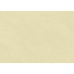 Rollo papel kraft 0,70x3m 65gr/m2 CLAIRE FONTAINE 95714C amarillo claro CENTROARTESANO