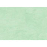 Rollo papel kraft 0,70x3m 65gr/m2 CLAIRE FONTAINE 95721C verde claro CENTROARTESANO