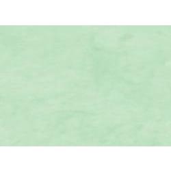 Rollo papel kraft 0,70x3m 65gr/m2 CLAIRE FONTAINE 95721C verde claro CENTROARTESANO