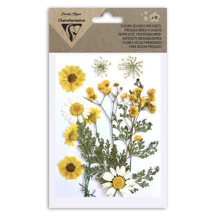 Flores secas prensadas decoración variada amarillas 195590c CLAIRE FONTAINE CENTROARTESANO