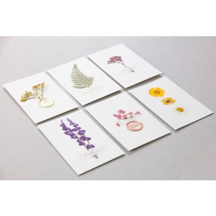 Flores secas prensadas decoración variada prado 195594c CLAIRE FONTAINE CENTROARTESANO