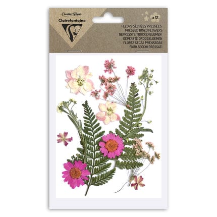 Flores secas prensadas decoración variada rosa 195591c CLAIRE FONTAINE CENTROARTESANO